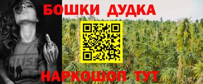 мдма Кингисепп