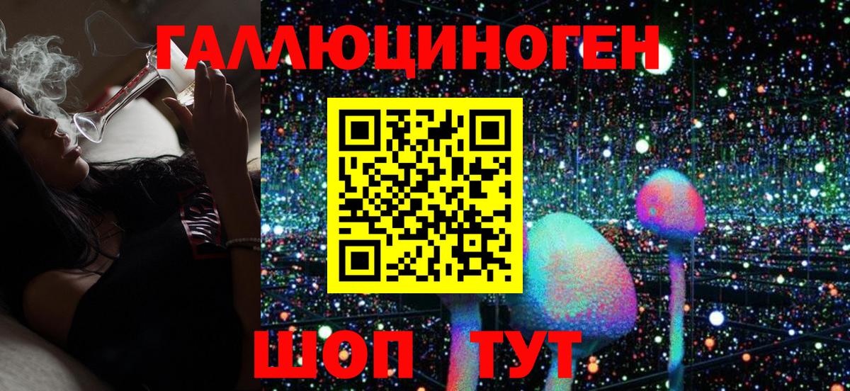 Галлюциногенные грибы Psilocybe Краснодар