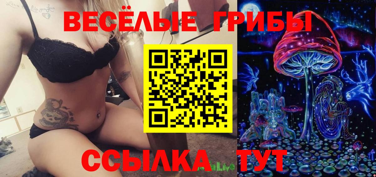 Галлюциногенные грибы мухоморы  магазин продажи наркотиков  Краснодар  Вход с VPN 