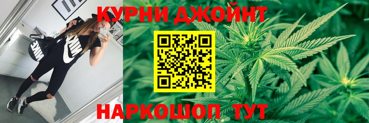 Каннабис сатива Краснодар